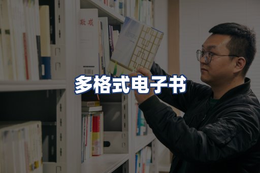 多格式电子书